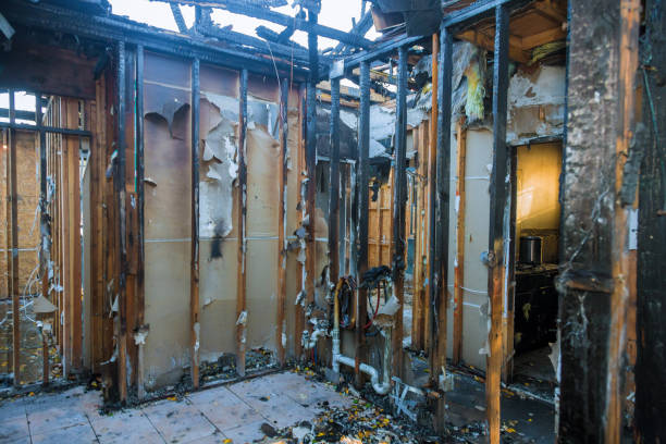 Professional Smoke Odor Removal technician working in Prescott, WI